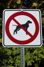 Posted white, red and black pictogram sign warning that dogs are not allowed or forbidden in public