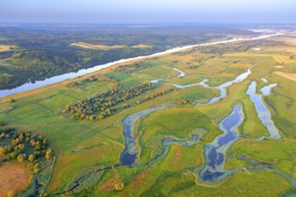 Aerial view over the Oder river in the German-Polish nature reserve Lower Oder Valley International