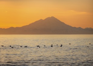 View of Cook Inlet on white mountain peaks of Mount Redoubt at sunset, picturesque golden light of