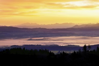 View from Horben of the Reuss Valley covered in fog, behind it the Alpstein with the Säntis in the