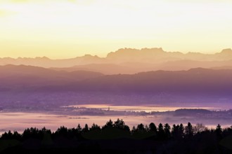 View from Horben of Lake Zug with the town of Cham and Zug, behind it the snow-capped mountains