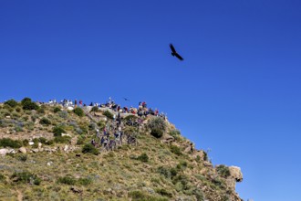 Viewpoint on a green rock with people watching the sky while birds fly, tourists at Crux de Condor