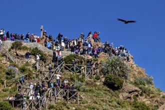 Dense crowd on a steep cliff with birds flying over a sunny sky, tourists at Crux de Condor to see