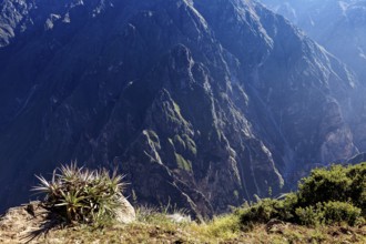 Landscape with a deep gorge and surrounding mountains illuminated by the sun, The mountains and