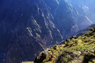 Mountains and a deep gorge with green vegetation under bright sunlight, The mountains and valleys