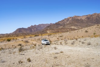 Toyota Hilux off-road vehicle on a sandy track, desert landscape with Brandberg, Erongo,