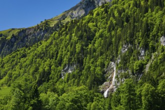 Sulzbachfall, Klöntal, Kantom Glarus, Switzerland