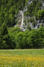 Sulzbachfall, Klöntal, Kantom Glarus, Switzerland