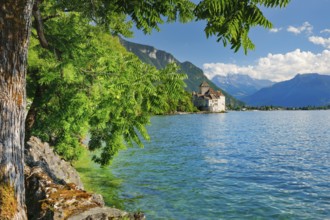 Chillon Castle on Geneva near Veytaux, Canton of Vaud, . switzerland