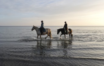 Two female riders ride their horses through the shallow water of the Baltic Sea at sunrise,