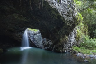 Natural Bridge Springbrook National Park Waterfall in the Basalt Cave, Queensland Gondwana