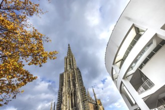 Ulm Minster, Gothic religious building in the Baden-Württemberg city of Ulm and parish church of