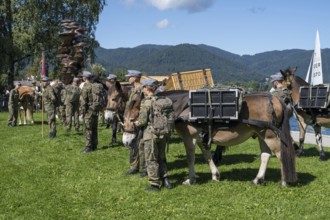 Bundeswehr soldiers with horses, mountain carrier company, soldiers in camouflage uniform, set up