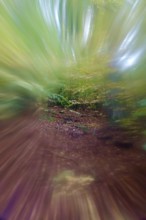 Symbolic picture for tunnel vision and depression, Germany