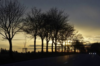 Street in late autumn, sunset, Germany