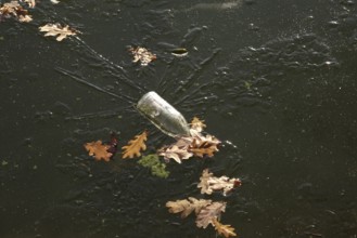 Frozen lake with autumn leaves, late autumn, Germany
