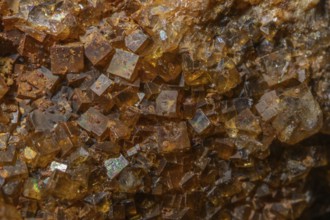 Bright, square crystals are visible on a piece of rock. The light underlines their structure and