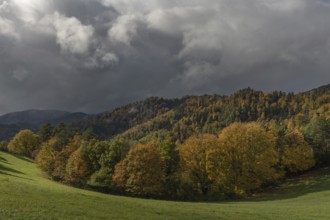 Vast green field features trees with gold and red leaves. The grey sky brings drama to this