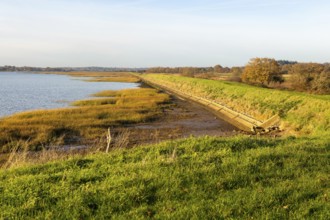 River Deben earthwork bank flood defence wall, Sutton, Suffolk, England, UK