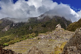 Ancient stone structures on green terraces under a cloudy sky, the ruins of the Inca city of Machu