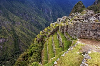 Machu Picchu terraces along a steep mountain flank in lush nature, The ruins of the Inca city of