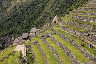Ancient terraces and buildings on a green mountainside, the ruins of the Inca city of Machu Picchu