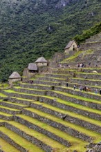 Stone terraces and houses in Machu Picchu with people and lush vegetation, The ruins of the Inca