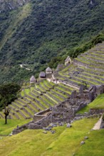 Sloping View of Stone Terraces and Huts on the Site, The Ruins of the Inca City of Machu Picchu in