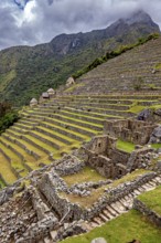 Impressive Inca ruins with terraces on a misty mountainside in Peru, surrounded by green nature and