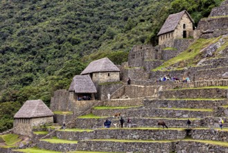 Inca huts and terraces with stone walls in lush mountain scenery near Machu Picchu, The ruins of