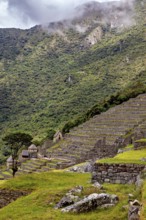 Terraces with ruins on green hills against a cloudy sky, The ruins of the Inca city of Machu Picchu