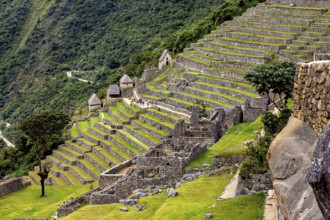 Angled view of terraced ruins in a dense natural landscape, The ruins of the Inca city of Machu