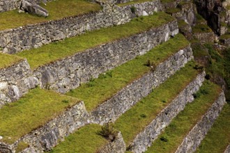 Close-up of hard stone terraces with grassy steps, The ruins of the Inca city of Machu Picchu in