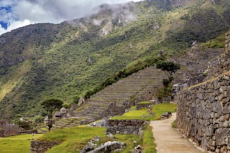 Terraced landscape with stone walls and lush greenery under cloudy sky, The ruins of the Inca city