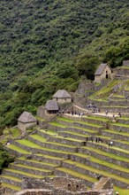 Inca stone houses and terraces surrounded by lush mountain scenery near Machu Picchu, The ruins of