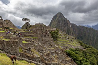 Historic ruins of Machu Picchu against a cloudy mountain backdrop with tourists, The ruins of the