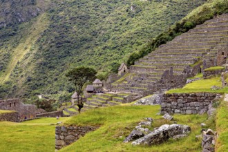 Stepped terraces with stone structures nestled in green slopes and clouds, the ruins of the Inca