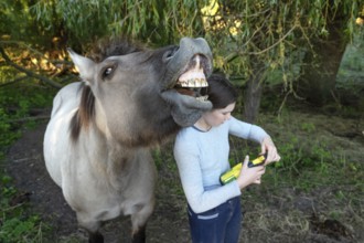 Howling horse, next to a young girl in the pasture, Othenstorf, Mecklenburg-Western Pomerania,