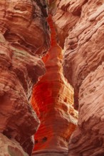 Evening rock glowing in spring at Altschloßfelsen in Eppenbrunn Palatinate, Germany