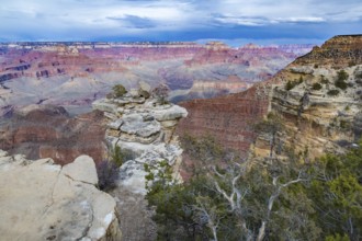 The Grand Canyon in northern Arizona