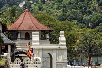 A temple with a pavilion surrounded by colorful flags and a river in the background, The Temple of