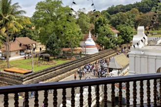 View of a temple area with people and an elephant statue surrounded by green nature, The Temple of