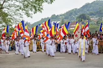 People in white robes carry Buddhist flags at a ceremonial parade, with hills in the background,