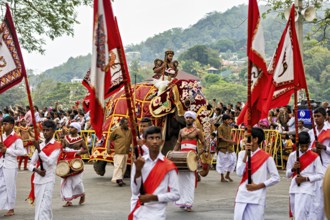 A festive parade with elephant and red flag in front of a crowd and green landscape, The Perahera