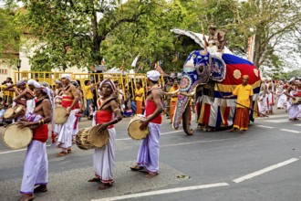 Festive parade with drummers and a magnificently decorated elephant, The Perahera Parade in Kandy