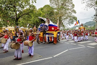 Parade with drummers and an elephant surrounded by celebratory spectators, The Perahera Parade in