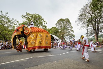 A cheerful parade with a decorated elephant and dancers on the street, The Perahera Parade in Kandy