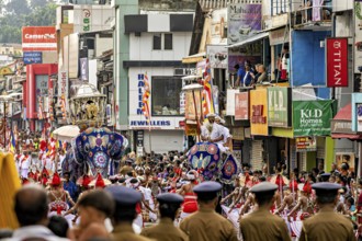 Decorated elephants at a parade with spectators and colorful buildings, The Perahera Parade in
