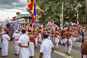 Festive procession with decorated elephants and people in traditional clothing, The Perahera Parade
