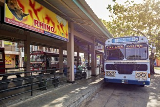 An Ashok Leyland bus at a bus stop with signs and trees in Sri Lanka, bus station in Kandy Sri